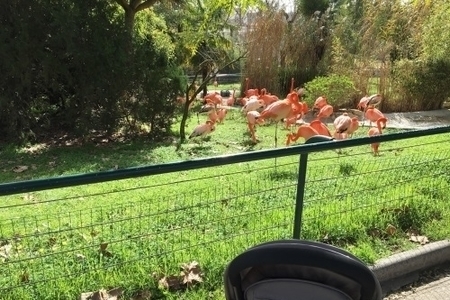 גן החיות בליסבון