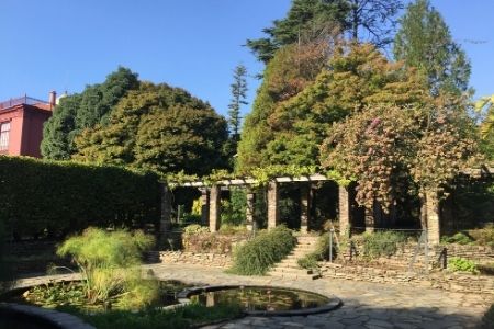 הגן הבוטני -  Jardim Botânico do Porto