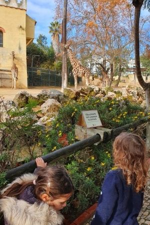 גן החיות של ליסבון - Lisbon's zoo