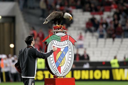 העיט של בנפיקה - Benfica's eagle