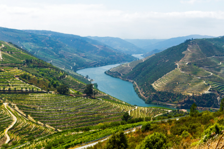 עמק הדורו douro valley