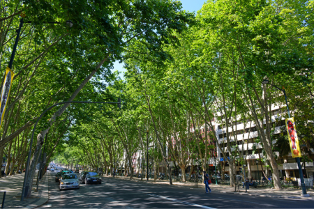 שדרת ליברדד ליסבון - Avenida de liberdade Lisbon