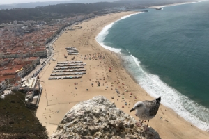 תצפית על נזארה Viewpoint over Nazare